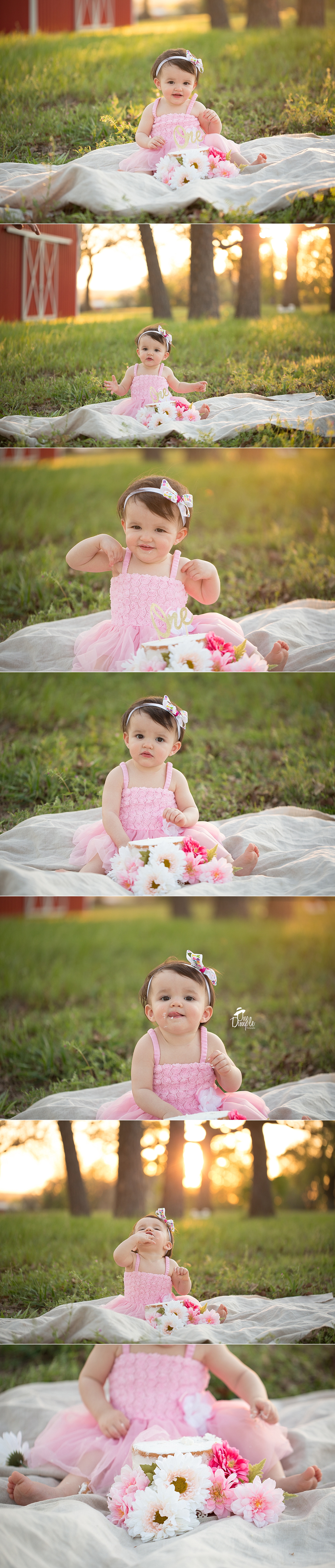 One Dimple Photography Fort Worth Outdoor Cake Smash Session with little girl and flowers