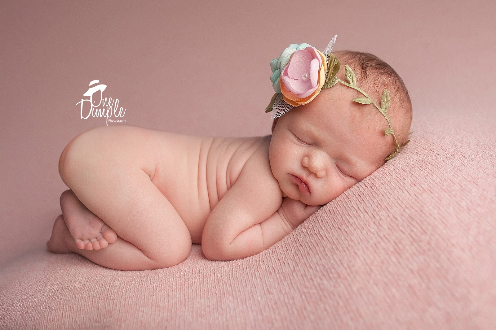Southlake in-home newborn Photographer