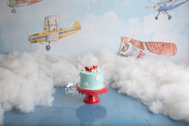 Airplane 1st Brithday Session