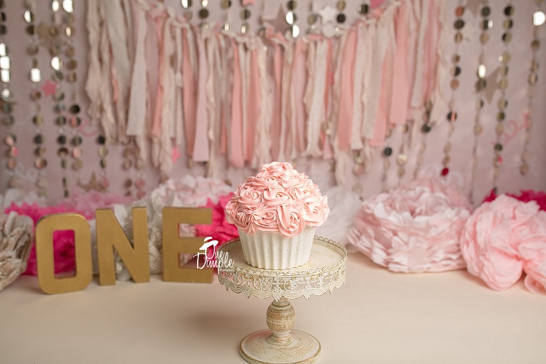 Pink and Gold cake Smash session