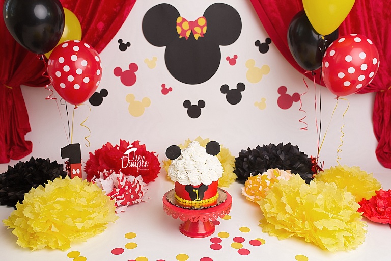 DFW Mickey Mouse themed cake smash photographer