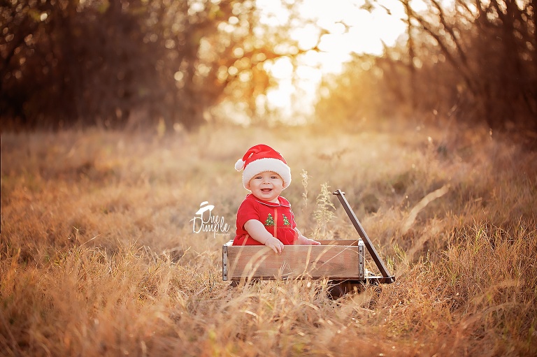 One Dimple Photography is a Dallas Fort Worth Baby and Family photographer.  Outdoor family and 6 month milestone session in Southlake, TX. Baby in Santa hat while sitting in a wagon 